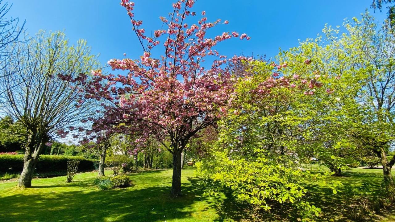 Le Tulipier Villa Manneville-la-Raoult Dış mekan fotoğraf